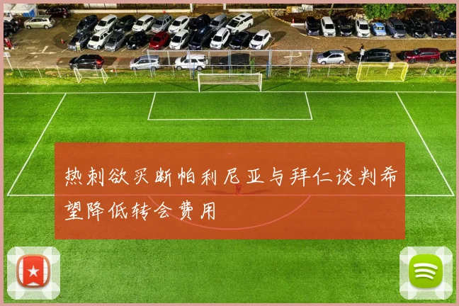 热刺欲买断帕利尼亚与拜仁谈判希望降低转会费用