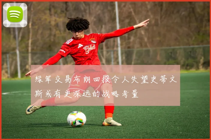 绿军交易布朗回报令人失望史蒂文斯或有更深远的战略考量