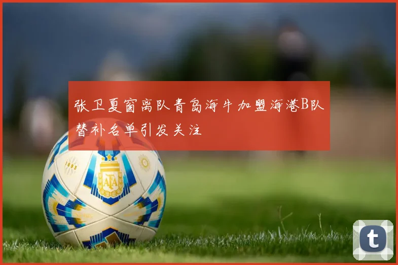 张卫夏窗离队青岛海牛加盟海港B队替补名单引发关注