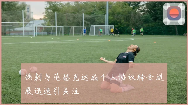 热刺与范赫克达成个人协议转会进展迅速引关注